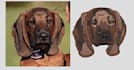 professionally digitize your logo for embroidery