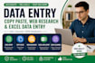 do accurate data entry copy paste webresearch excel data entry pdf conversion