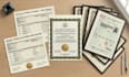 replicate any document, certificate, degree, ielts, school diploma, statement