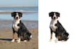 remove background and other elements from your photos
