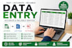 do accurate data entry, copy typing and PDF to word