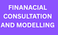 do financial consultation and modeling