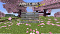 play minecraft java edition with you