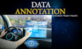 do professional ai data annotation and text labeling