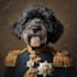 make a custom royal pet portrait gift for your pet