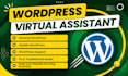 be wordpress expert wordpress virtual assistant, revamp, update, edit wordpress