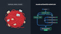build powerful kajabi automations, pipelines and email flows