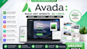 design stunning wordpress avada theme, divi theme, betheme