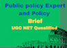 write professional public policy analysis and policy brief