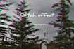 edit photos for you