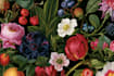do a professional fruits botanical illustration