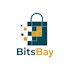 sell a complete ready made online store website