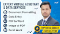 do expert data entry, word document formatting and pdf to excel conversion
