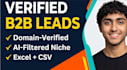 generate targeted b2b leads of any custom niche  with domain verified emails