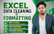 clean format and organize your excel data