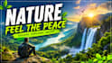 design eye catching youtube thumbnails that get clicks