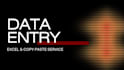 do professional excel data entry and copy paste work