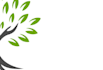 design a professional modern tree, leaf logo