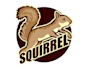 design amazing squirrel logo with satisfaction guaranteed