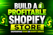 rebuild profitable shopify store or shopify website