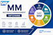 provide complete sap mm training for beginners
