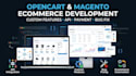develop opencart ecommerce store with API integration, custom modules and ocmod