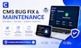 fix bugs and issues on your cms website