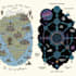 make illustrate medieval fantasy and sci fi maps