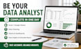 be your data analyst, complete in one day