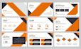 provide professional assignment and presentation