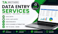 do accurate data entry , excel and web research