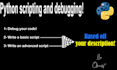 debug and write python code