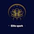 premium brand style design