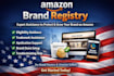 help you with amazon brand registry application and setup