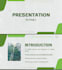 design stunning canva presentation and powerpoint slides