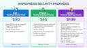 secure your wordpress site and remove malware