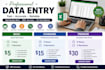 provide professional data entry writing with fastest typing