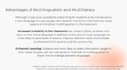 proofread anything, technical documents to essays