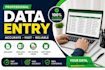 do data entry, excel data entry and PDF to excel