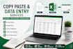 professional data entry excel and processing