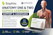 be your anatomy one and two sophia lab assistant