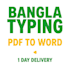 do fast excel data entry copy paste and web research in 1 day