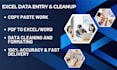 do accurate excel data entry, copy paste, and PDF conversion