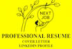 provide ats optimized professional resume writing services