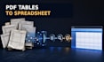 extract scanned PDF tables into a checked excel workbook