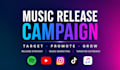 manage your music release with a targeted campaign