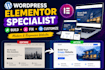 be your wordpress elementor specialist for design, fixes and customization