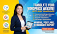 translate website using multilingual wpml gttranslate polylang website