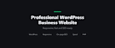 create a professional wordpress business website, responsive and SEO ready