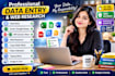 do professional copy paste web research and data collection